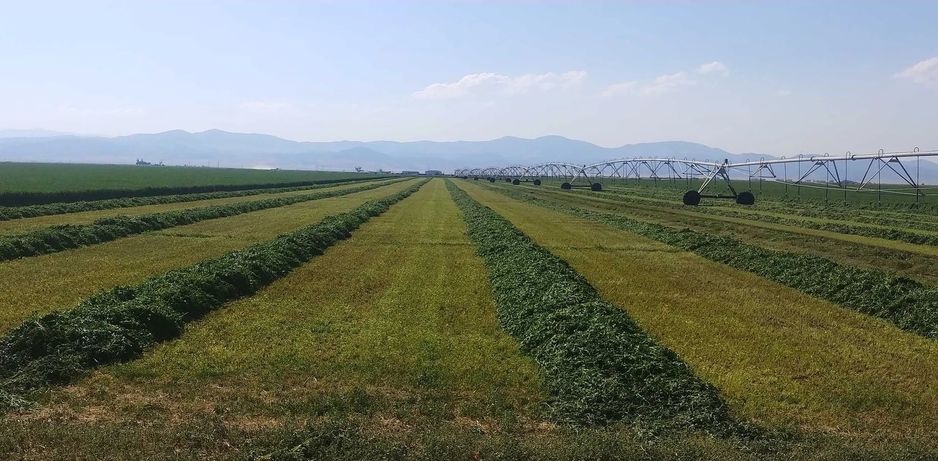 L Cross Ranch, primary view