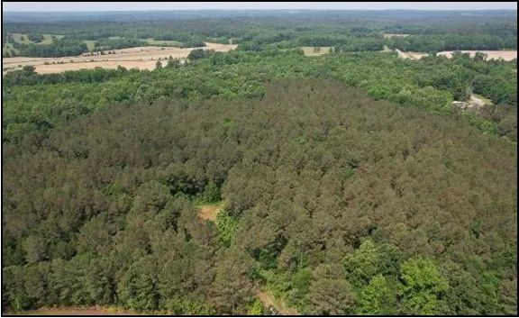 34.9 Acres in Yalobusha County in Coffeeville, MS 