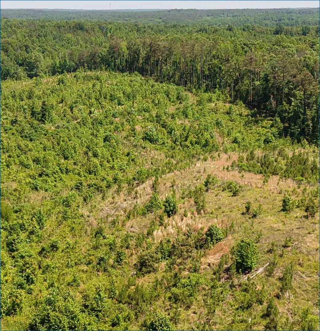 CR 143, Carrollton, Mississippi 38917