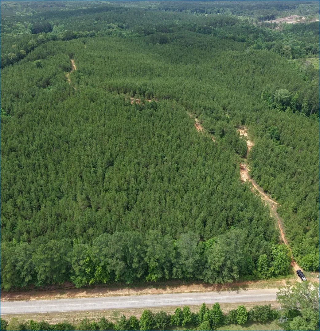 Old Pickens Road , Kosciusko, Mississippi 39090