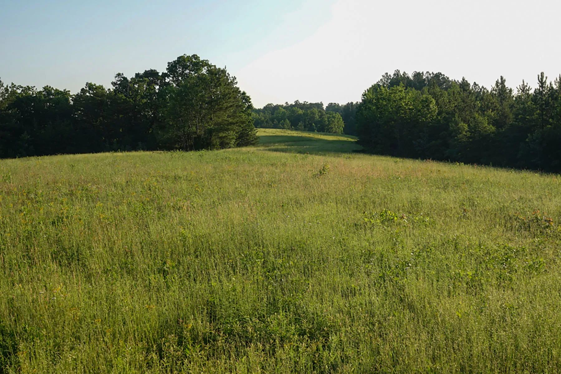 Jefferson View Farm, view 2