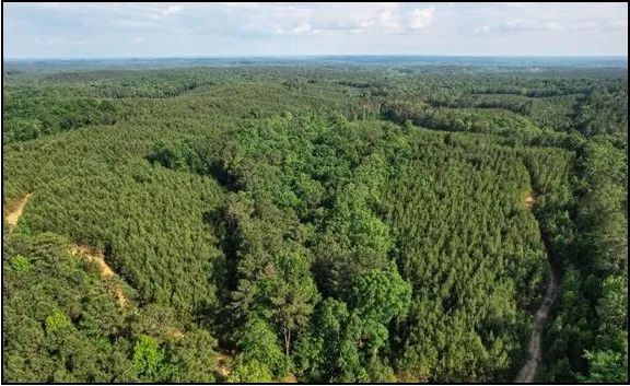 174 Acres in Montgomery County in Vaiden, MS 