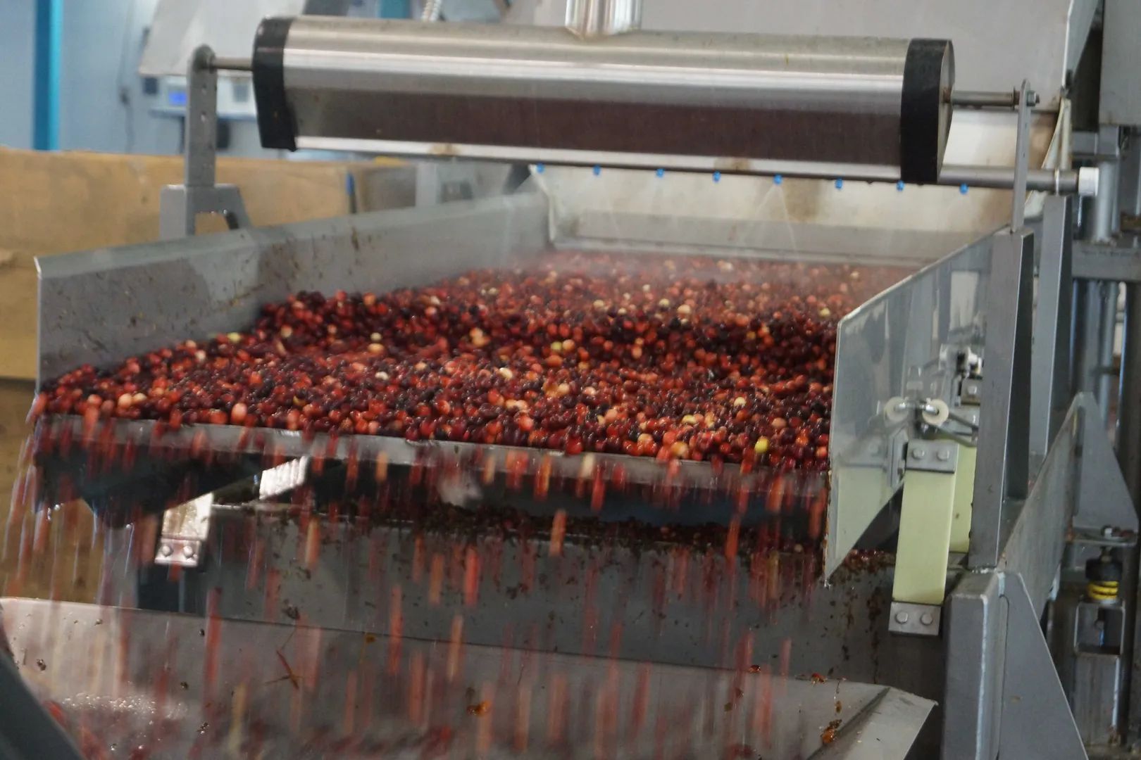 Oregon Cranberry Facility and Home, view 3