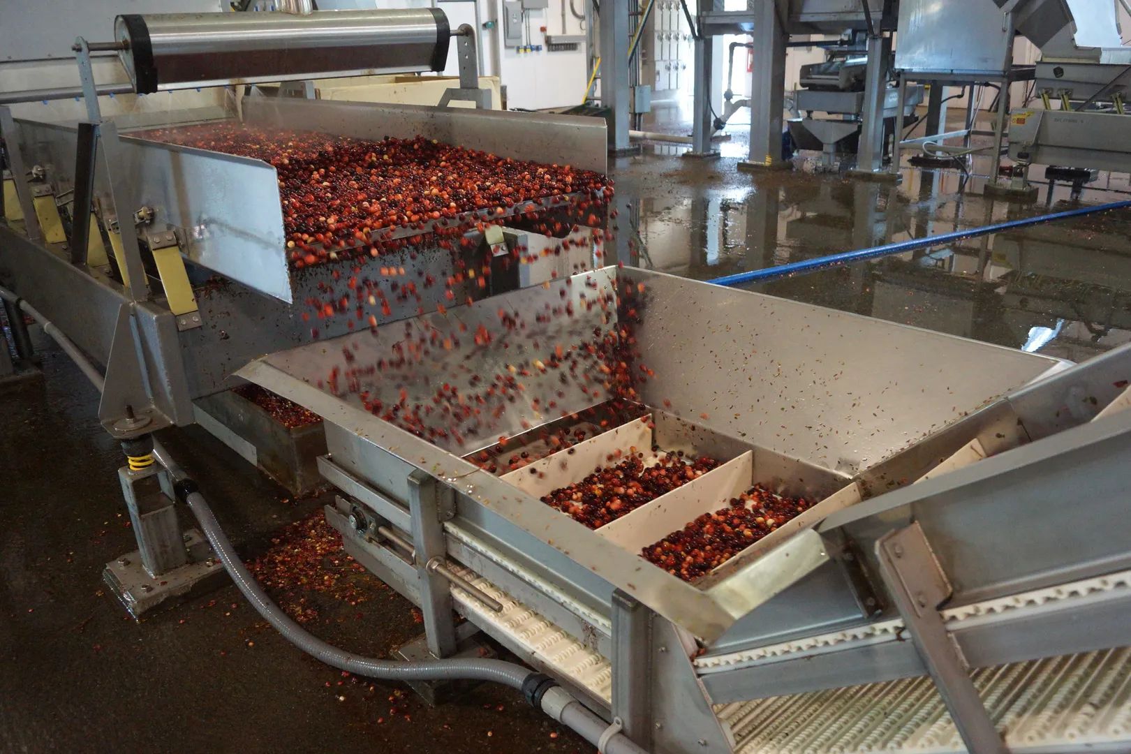 Oregon Cranberry Facility and Home, primary view