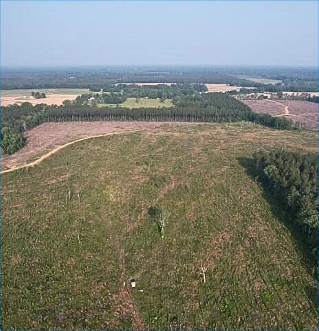 , Pelahatchie, Mississippi 39145