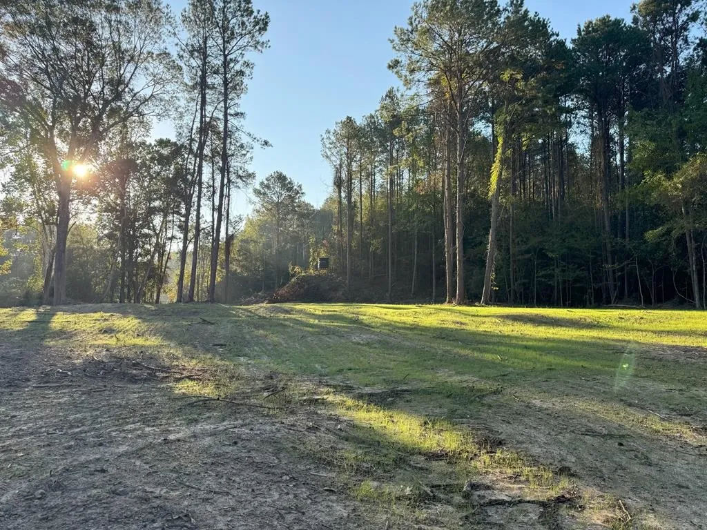 296 Acre Timberland for Sale with Creek Southwest MS - Acreage In ...