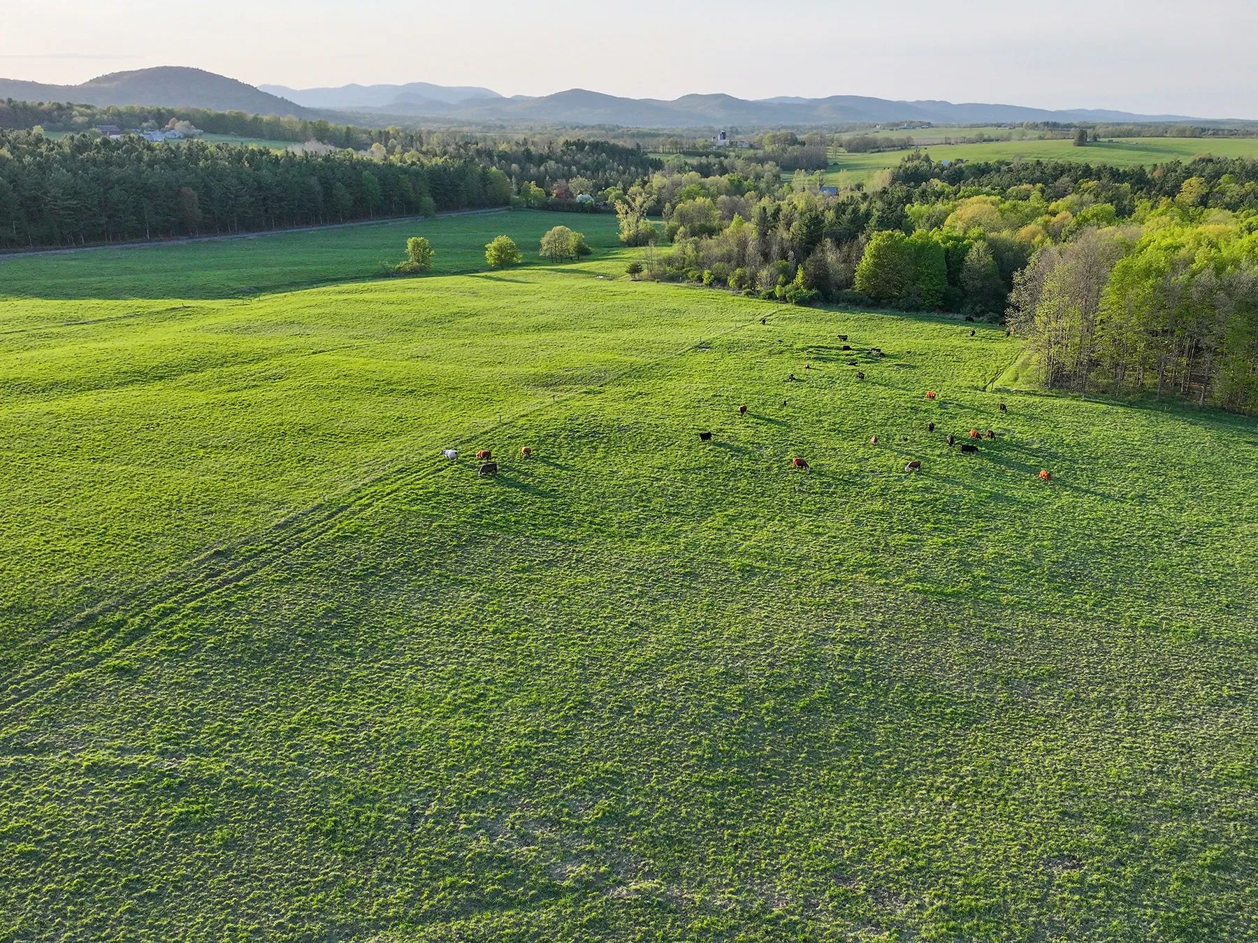 Lewis Family Farm, view 2