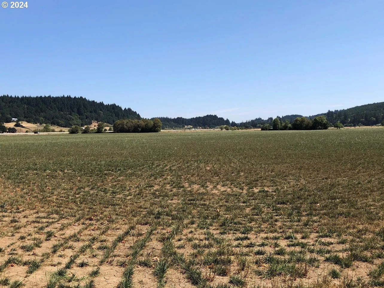 24655 YAMHILL RIVER RD, primary view
