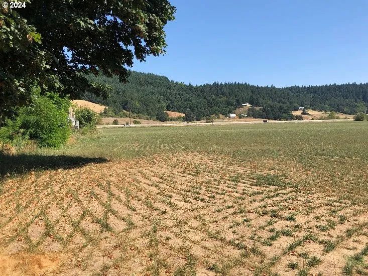 24655 YAMHILL RIVER RD, view 2