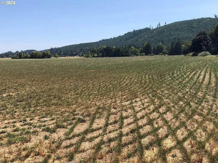 24655 YAMHILL RIVER RD, view 3