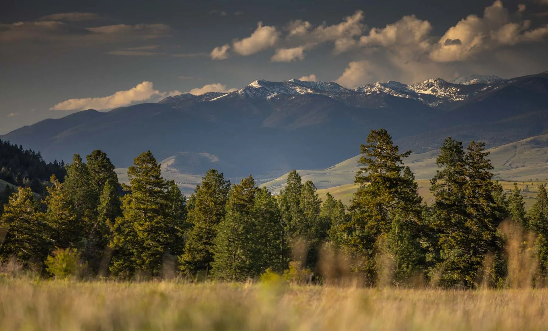 Lolo Ranch, primary view