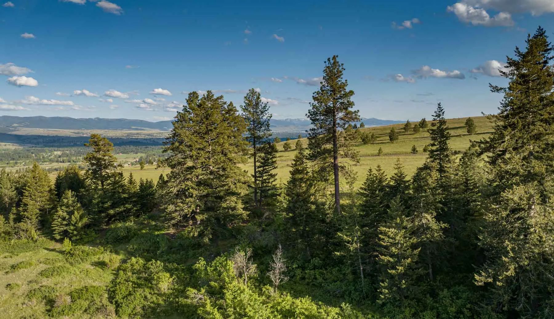 Lolo Ranch, view 3