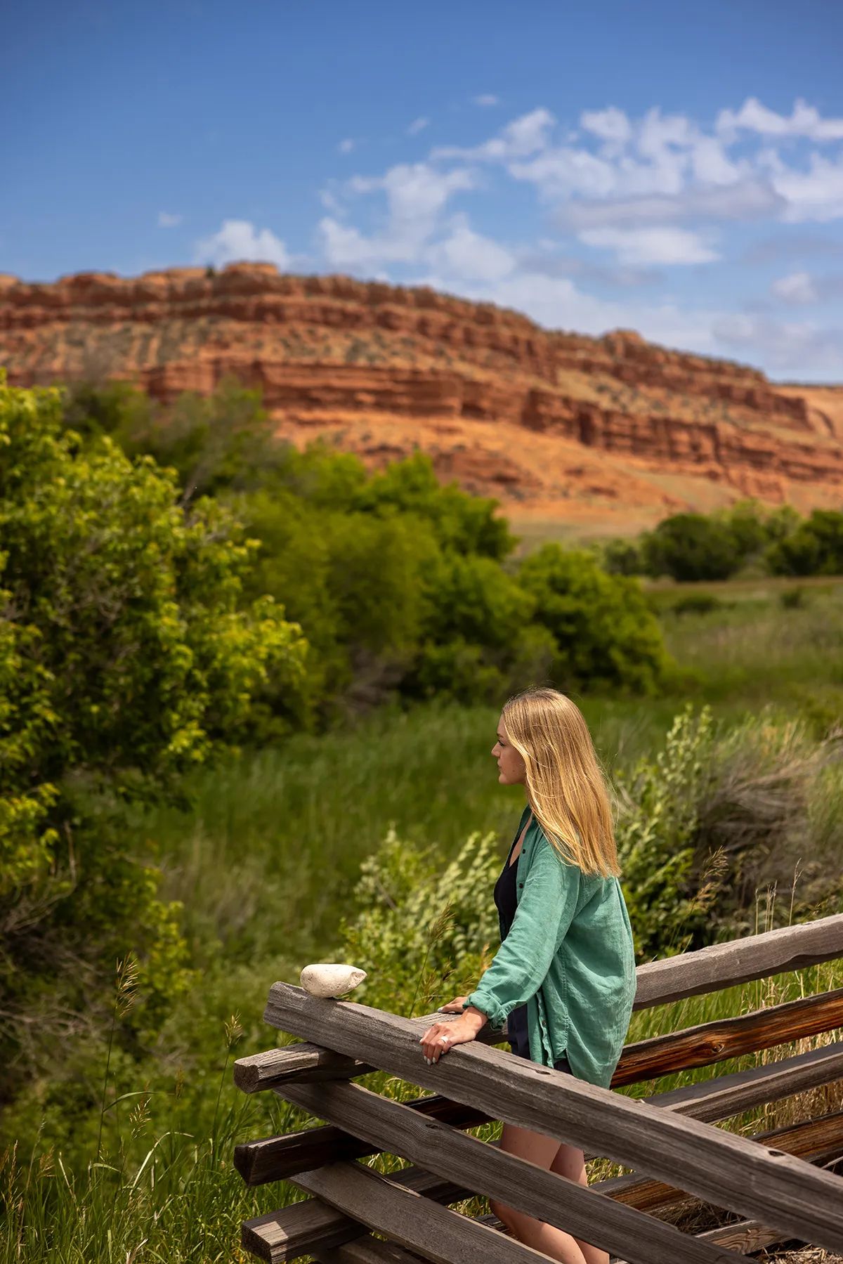 Lazy Frog Ranch, view 2