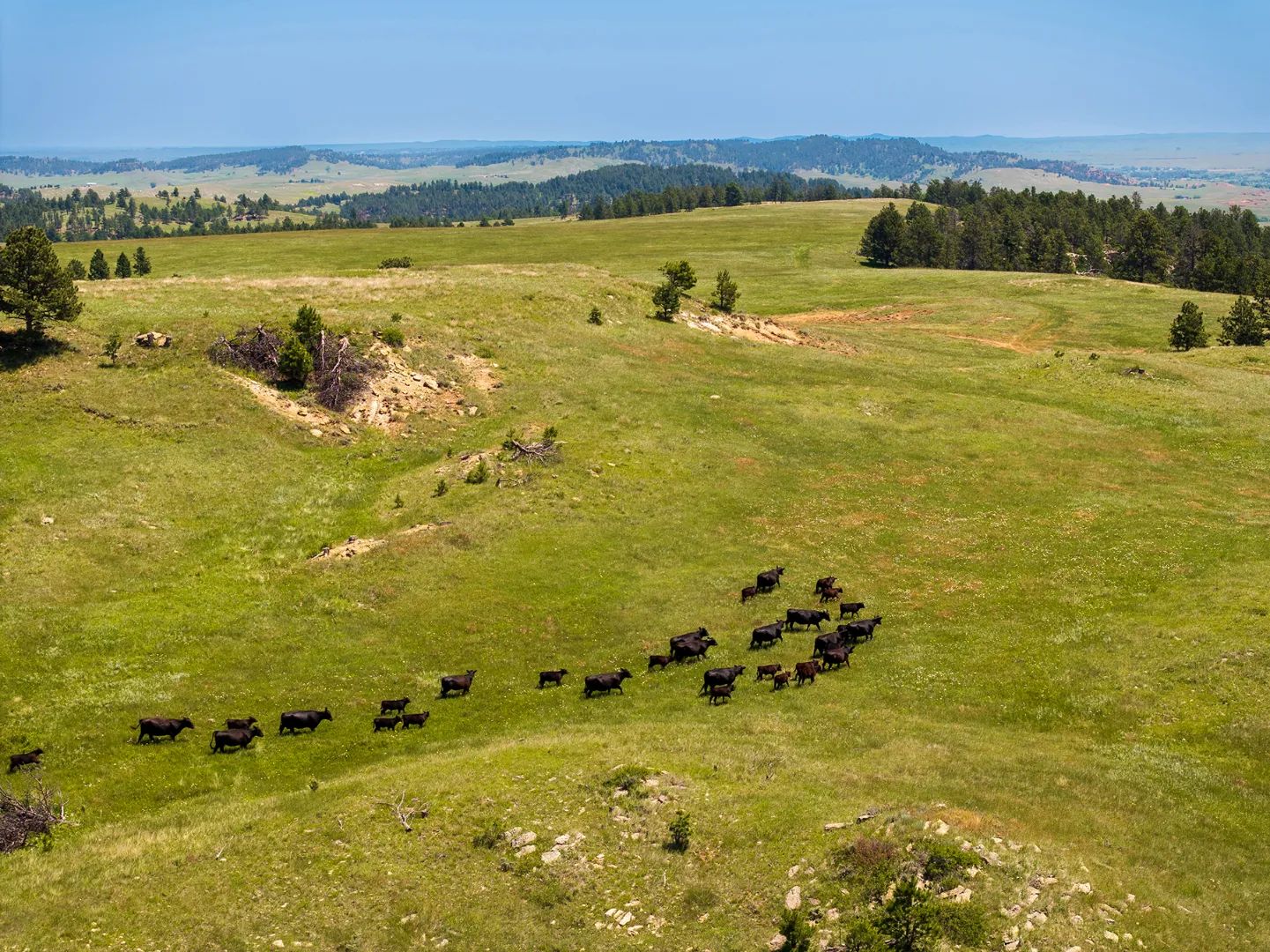Mullenger Ranch, primary view