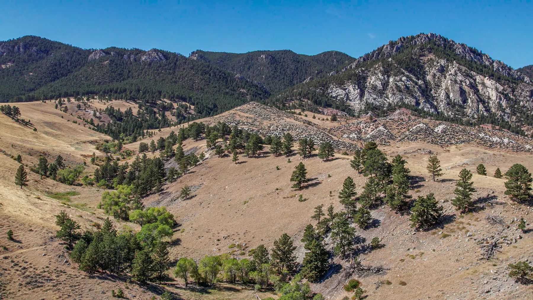 Little North Fork of Crazy Woman Ranch, primary view