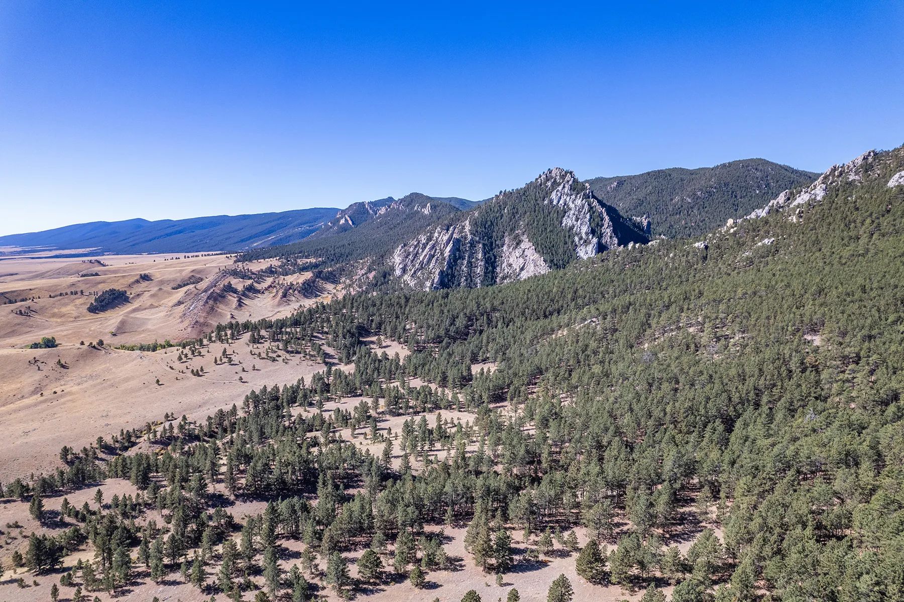 Little North Fork of Crazy Woman Ranch, view 2