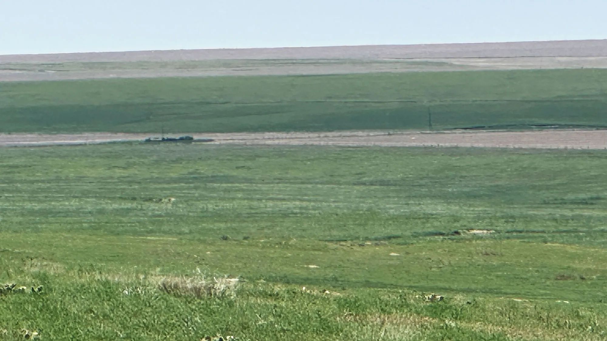 Winter Calving Ranch, view 3