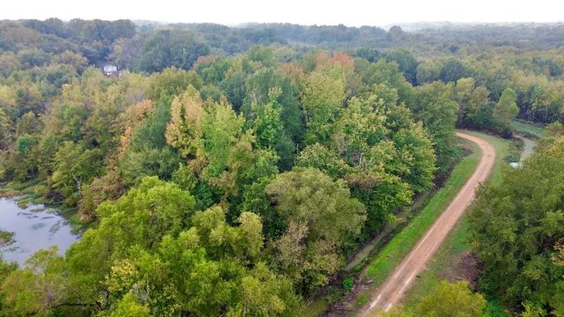 Cotton Street, Marks, Mississippi 38646