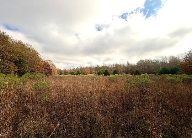 Fairview Road, Charleston, Mississippi 38921