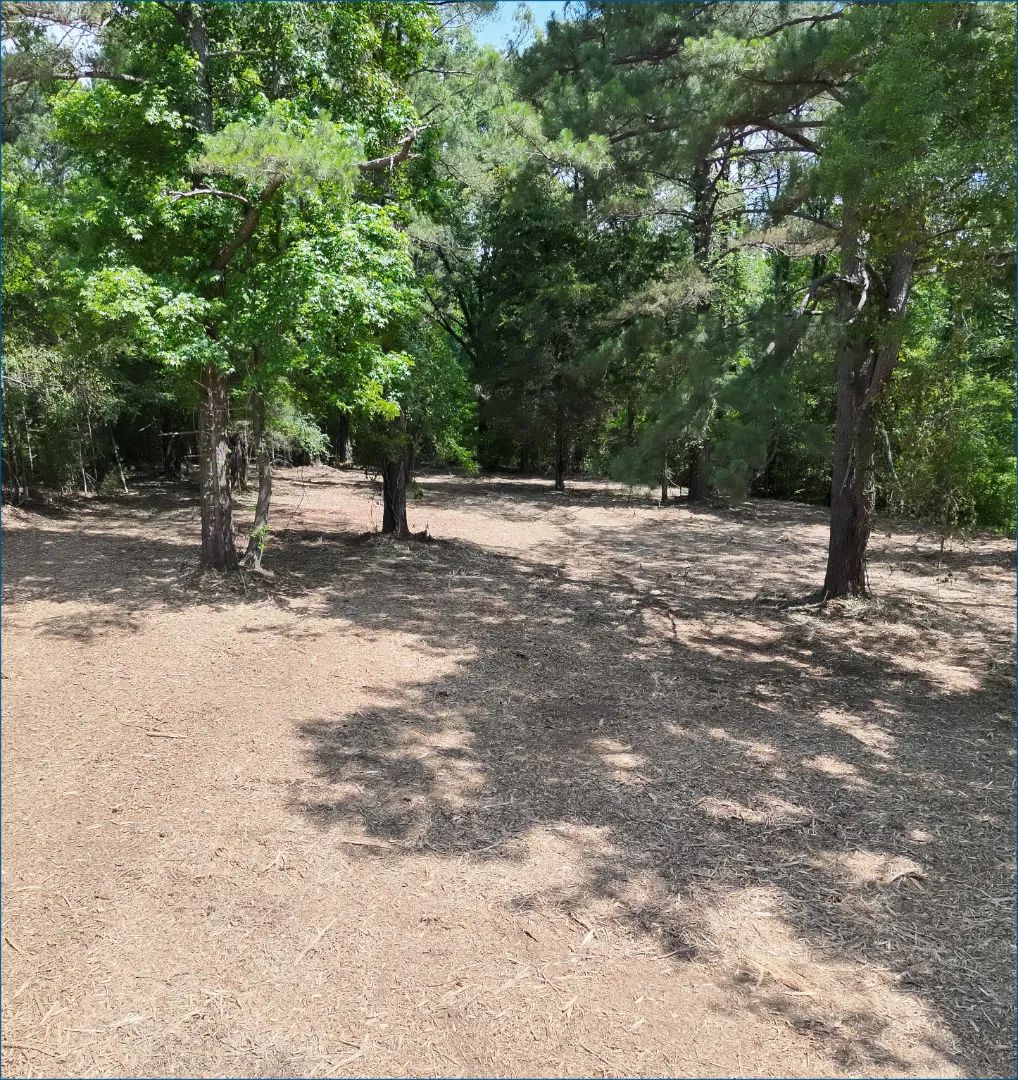 164 Walter Peyton Lane, Ridgeland, Mississippi 39157