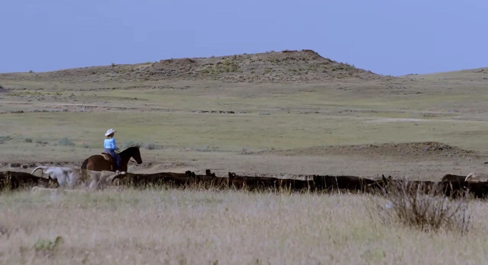 Over the Cliff Ranch - Farm in Forsyth, Montana For Sale | Land Broker MLS
