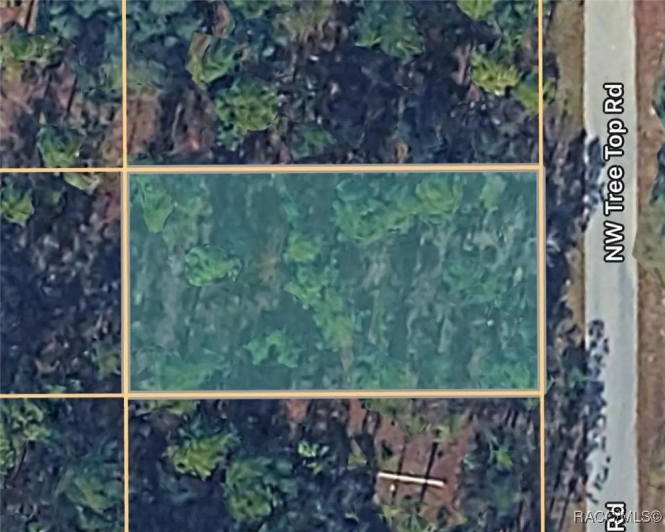 0000 NW Tree Top Unit #021 Road - Farm in Dunnellon, Florida For Sale ...