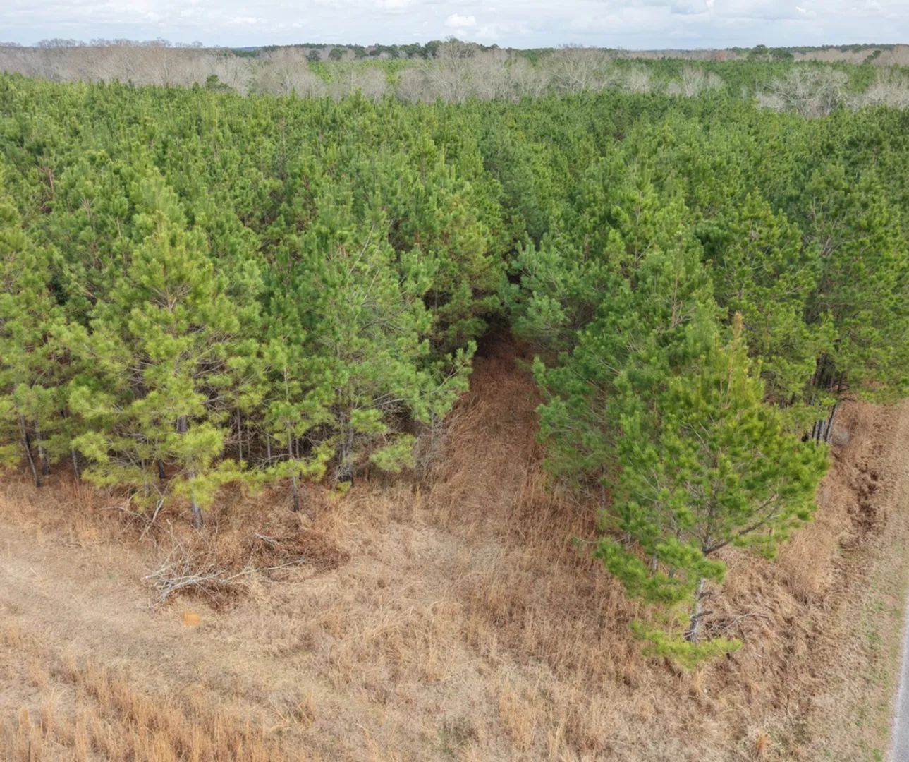 Graves Road, Carson, Mississippi 39427