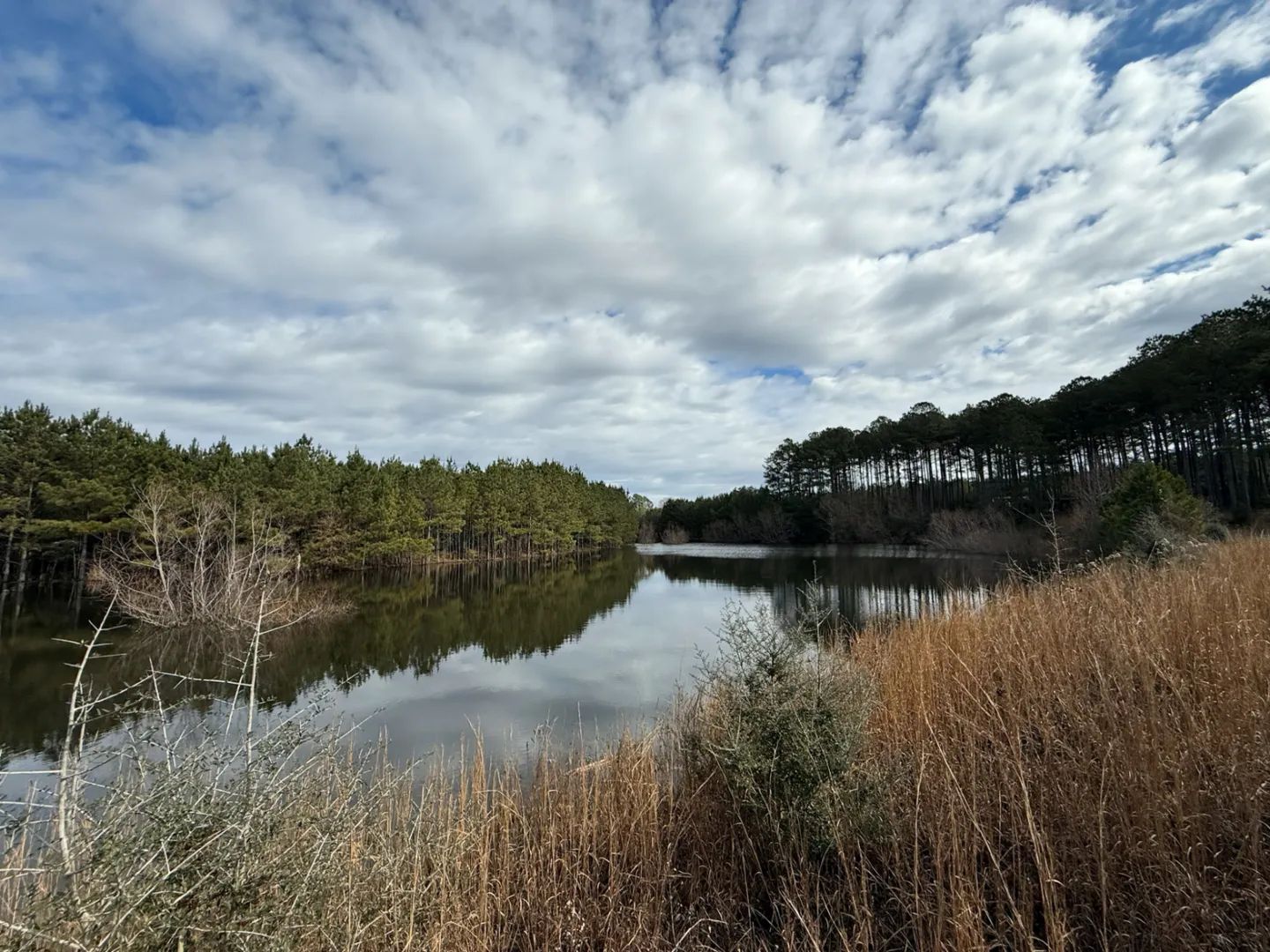 Dyess Road, Carson, Mississippi 39427