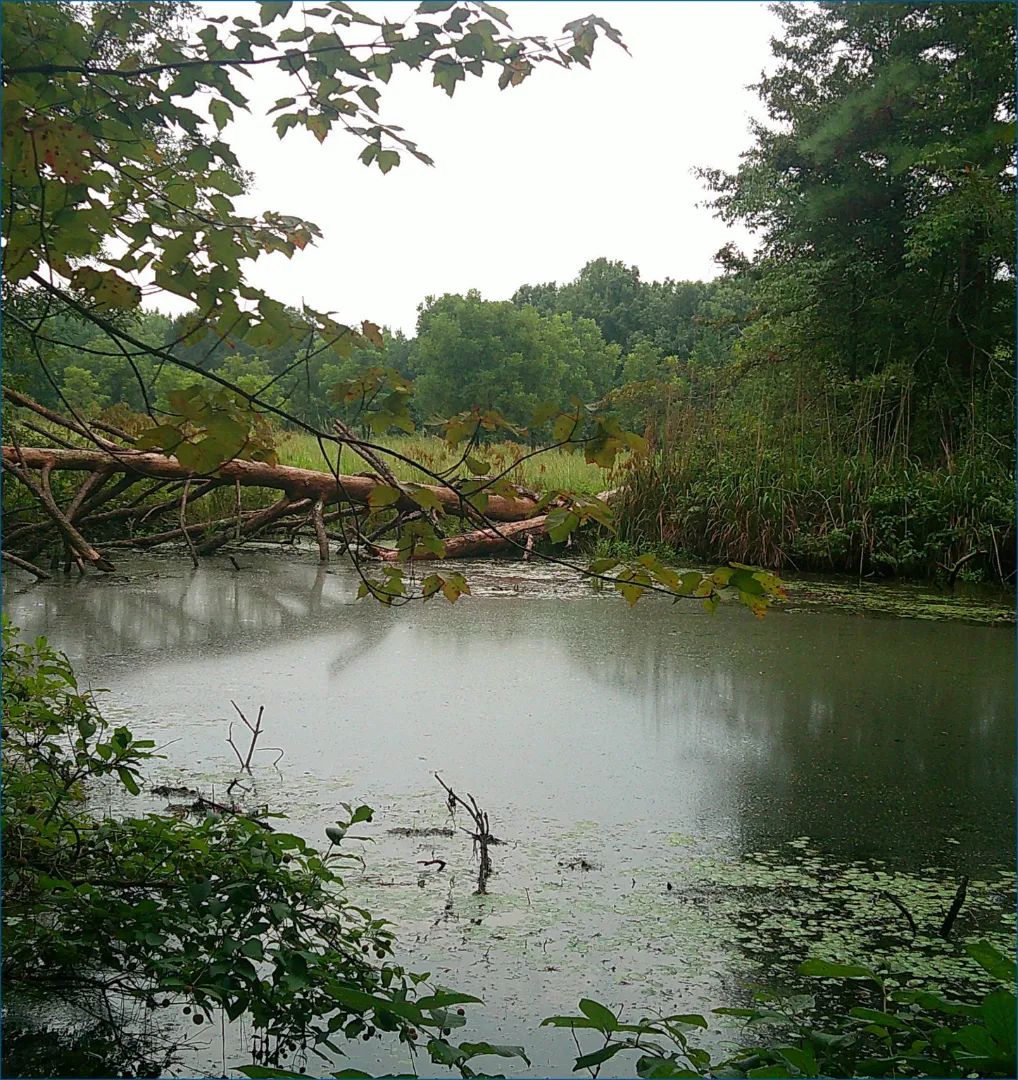 , Smithville, Mississippi 38870
