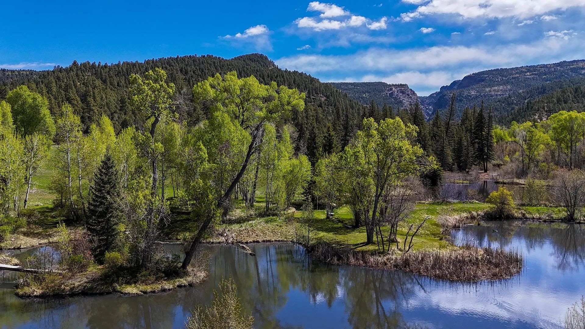 Old Cañones Creek Ranch - Hunting Land in Chama, New Mexico For Sale ...