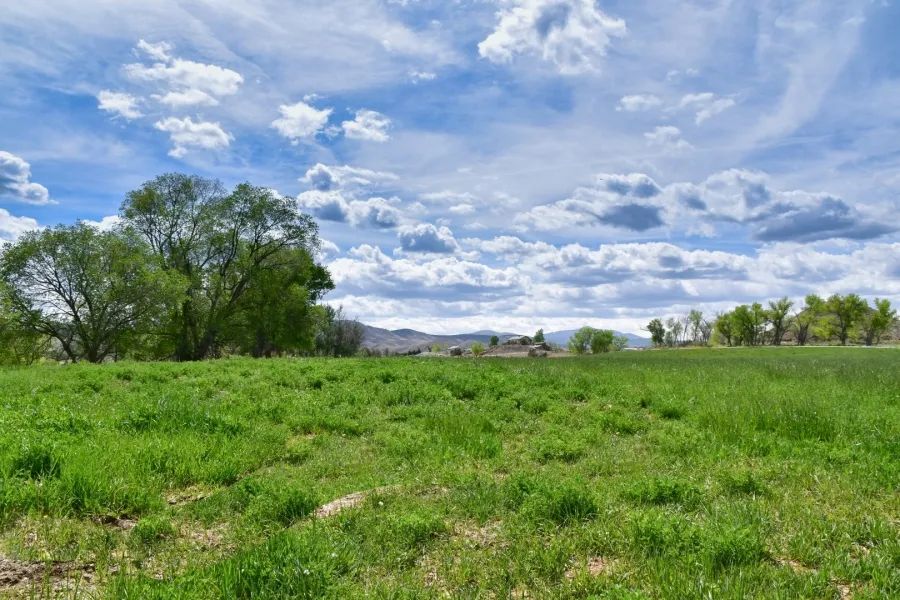 Circle H Ranch - Ranch in Montrose, Colorado For Sale | Land Broker MLS