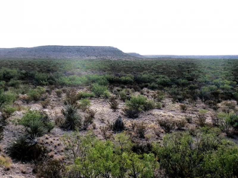 Land for Sale - Mccamey, TX 79752 - 291.3 acres