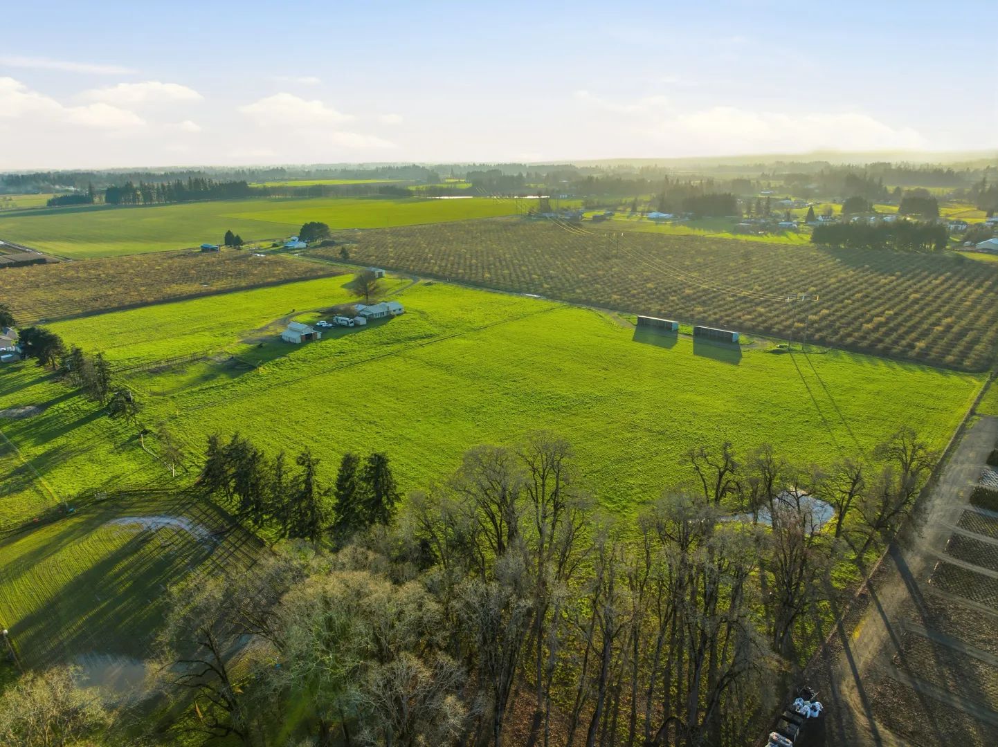 Hobby Farm & Horse Property - Canby, Oregon, view 3