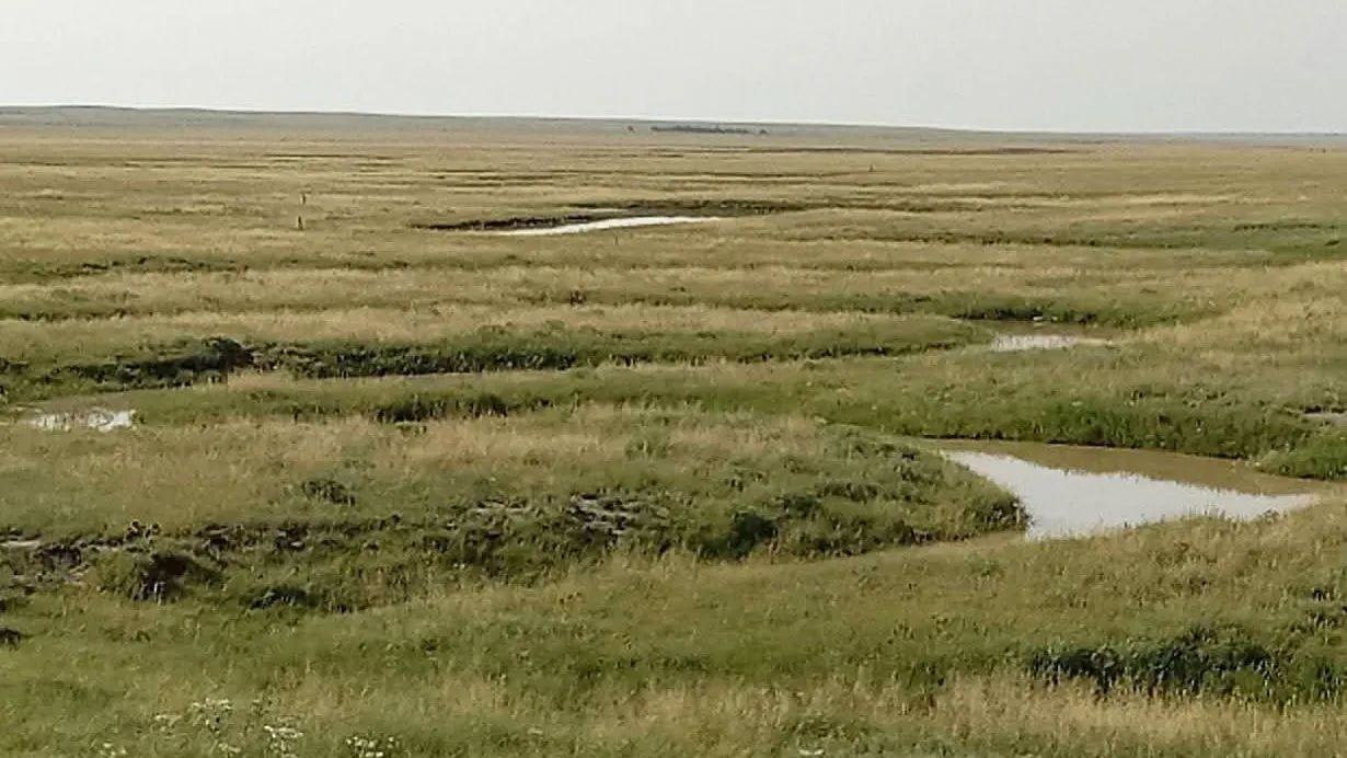 Palmer Ranch, view 3