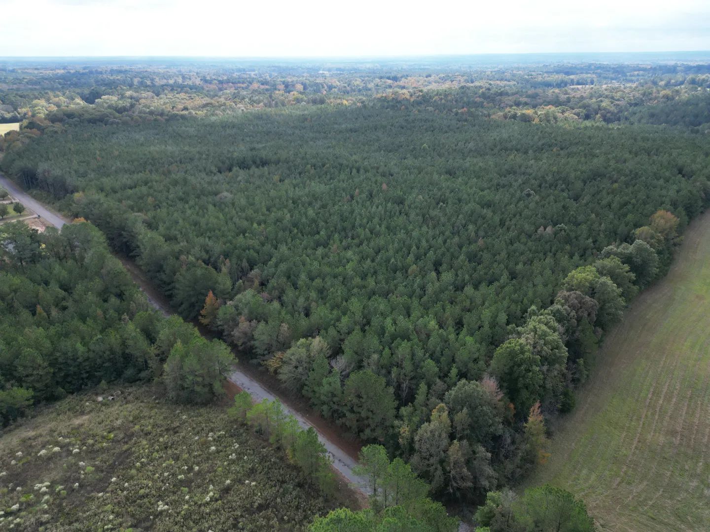 Red Water Road, Carthage, Mississippi 39051