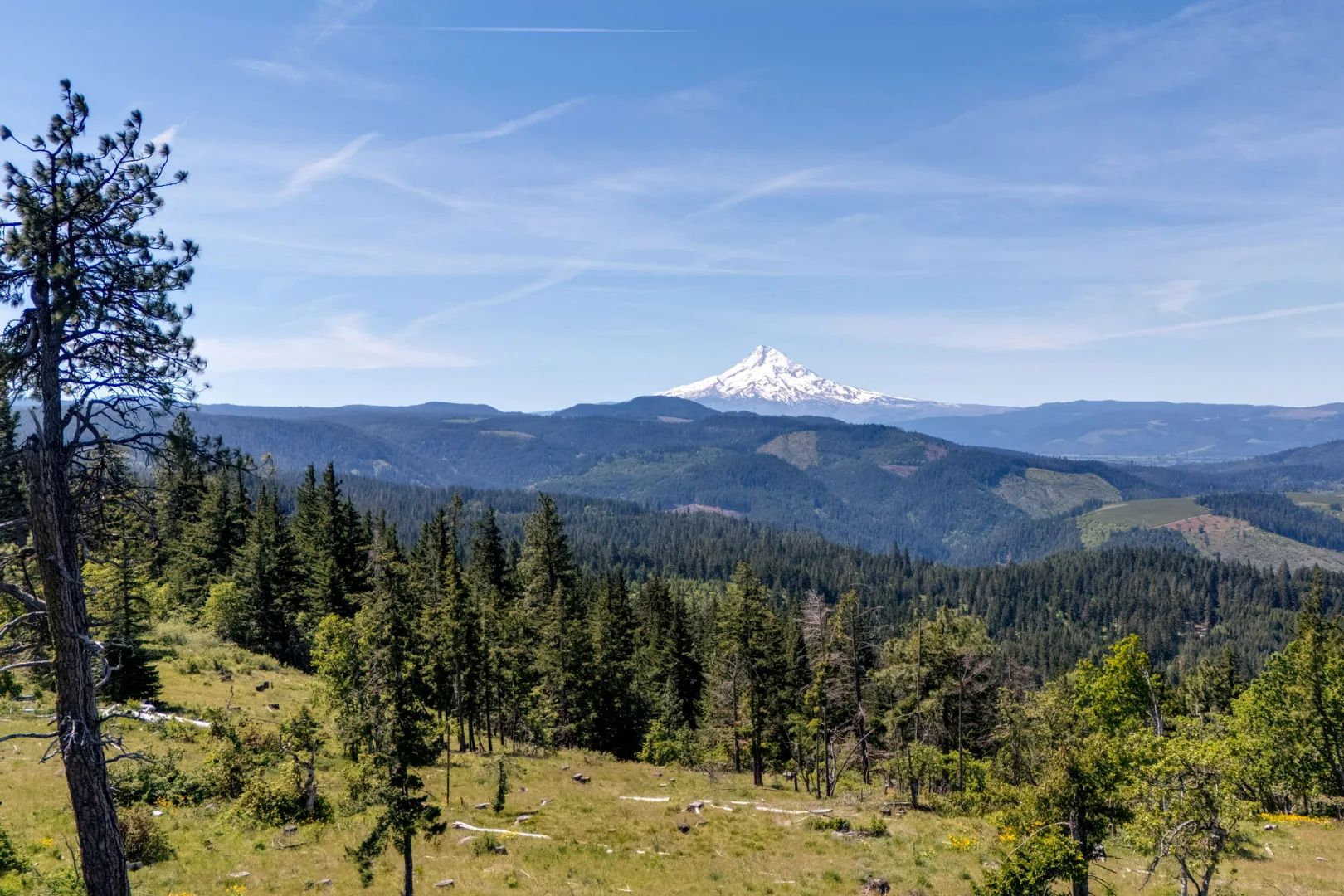 Buildable Acreage Minutes From Hood River, view 3