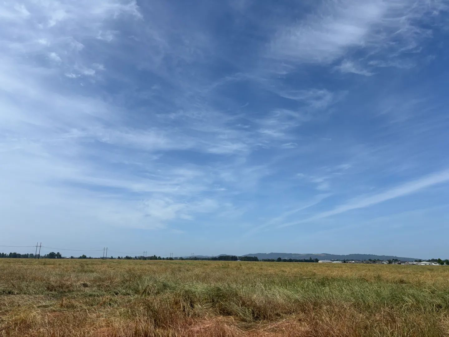 Investment Opportunity | Industrial inside City Limits - Enterprise Zone, primary view