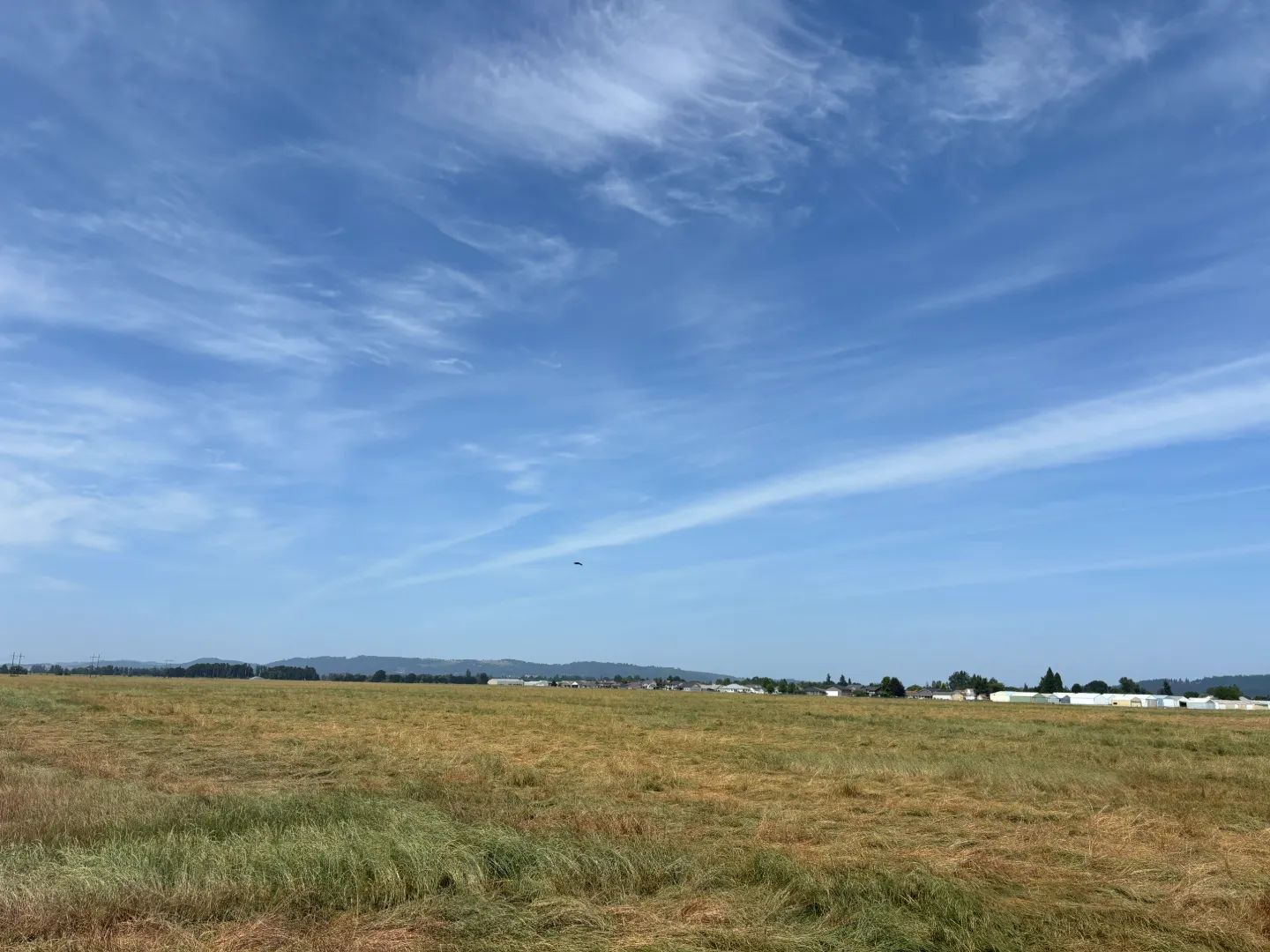 Investment Opportunity | Industrial inside City Limits - Enterprise Zone, view 3