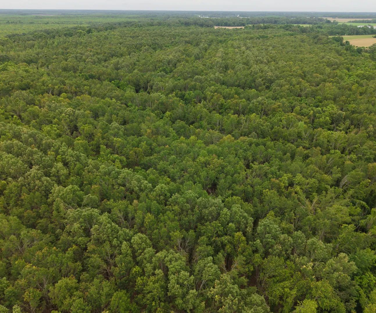 , Delhi, Louisiana 71232