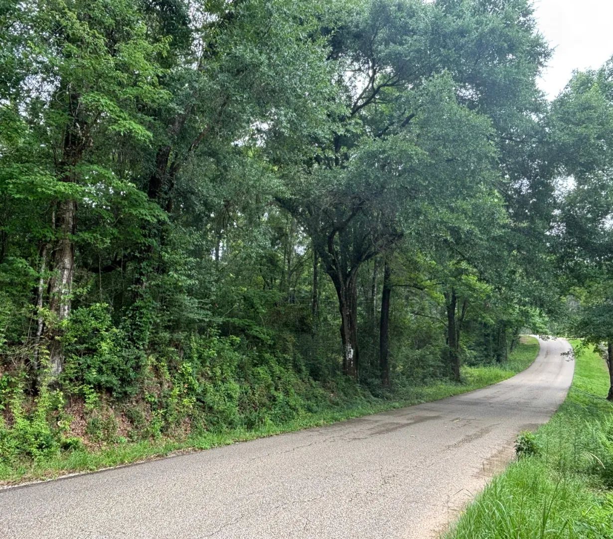 Sie Jenkins Road, Bogalusa, Louisiana 70427