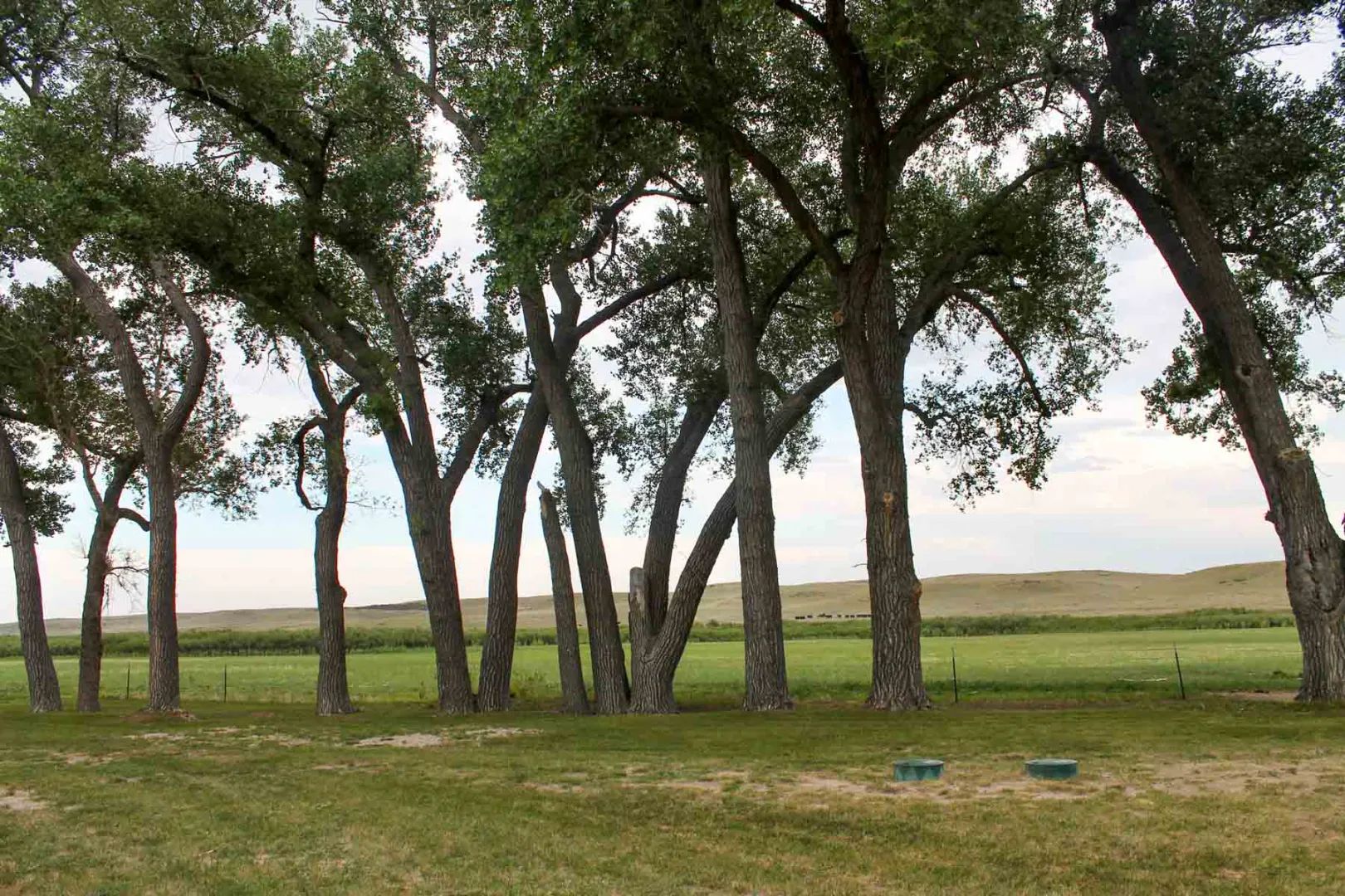 Horse Creek Vista, primary view