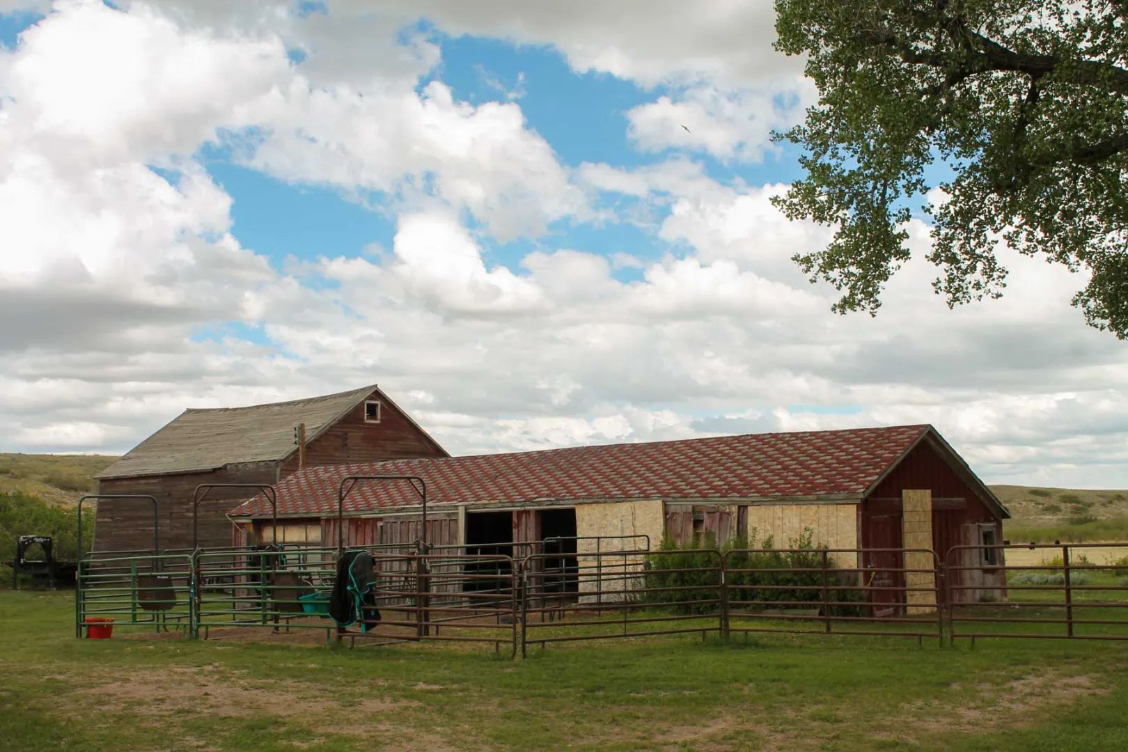 Horse Creek Vista, view 2
