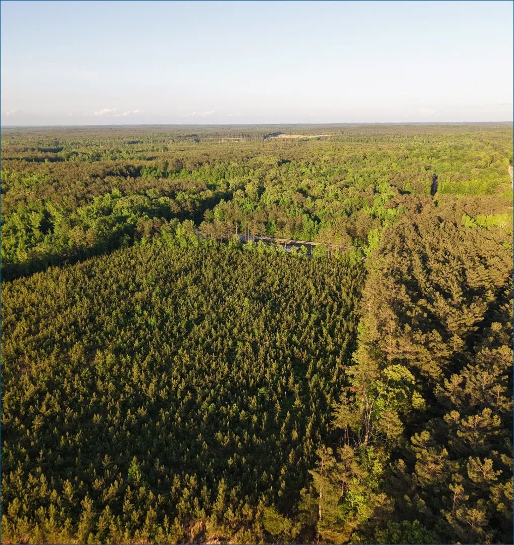 Highway 82, Stewart, Mississippi 39767