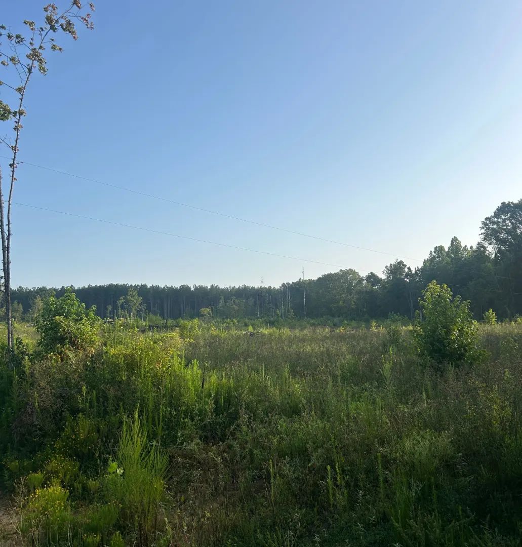 , Sallis, Mississippi 39160