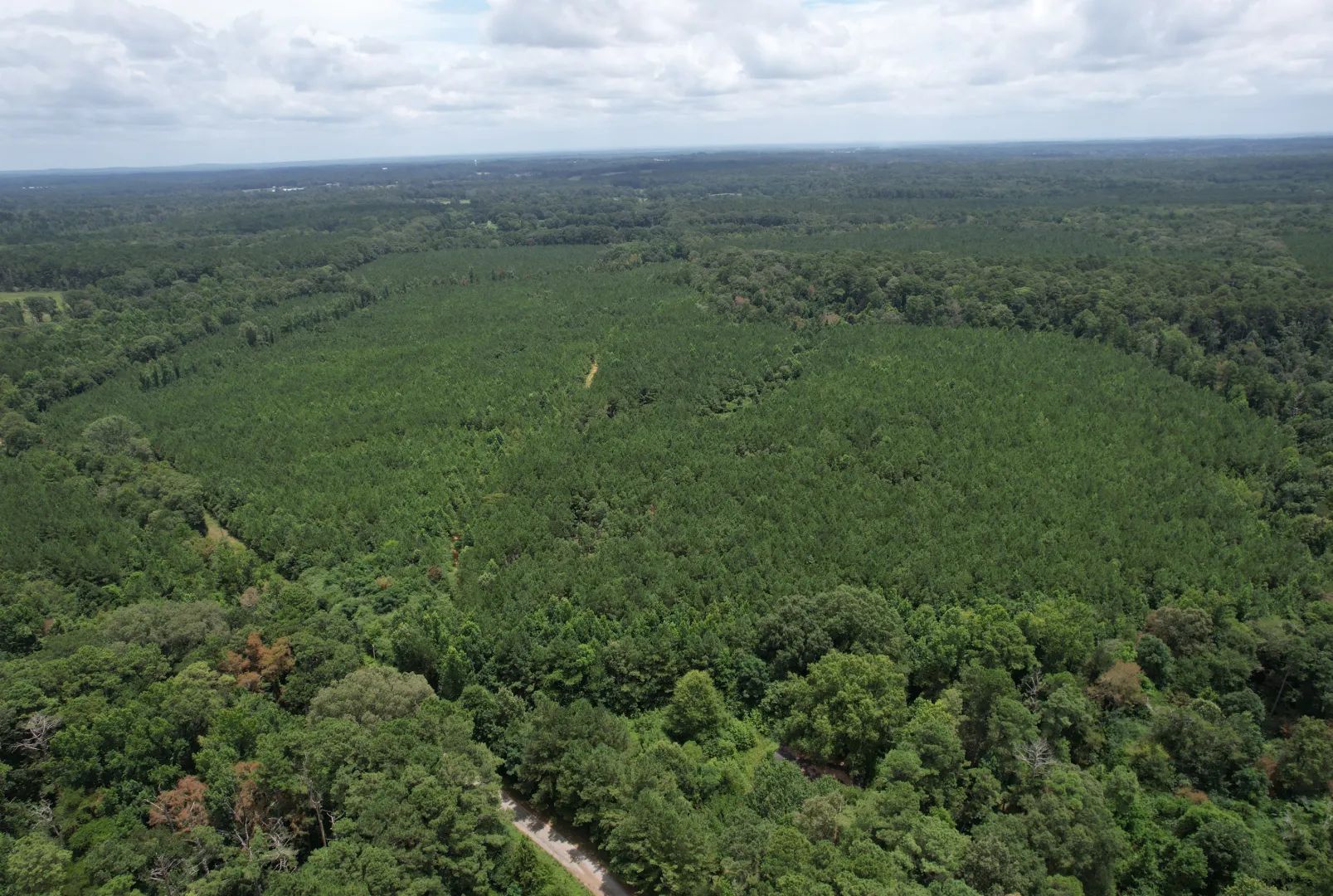 County Road 559, Raleigh, Mississippi 39153
