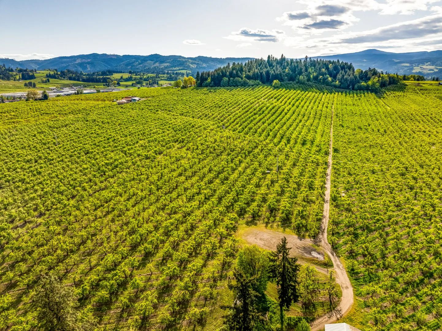 Scenic Hood River Valley Orchard, primary view