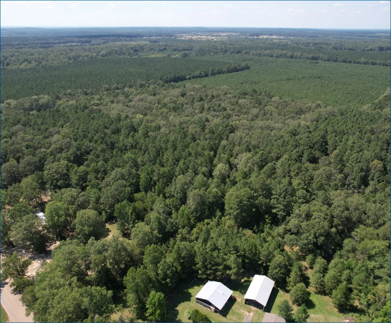 Holly Bush Road, Pelahatchie, Mississippi 39145