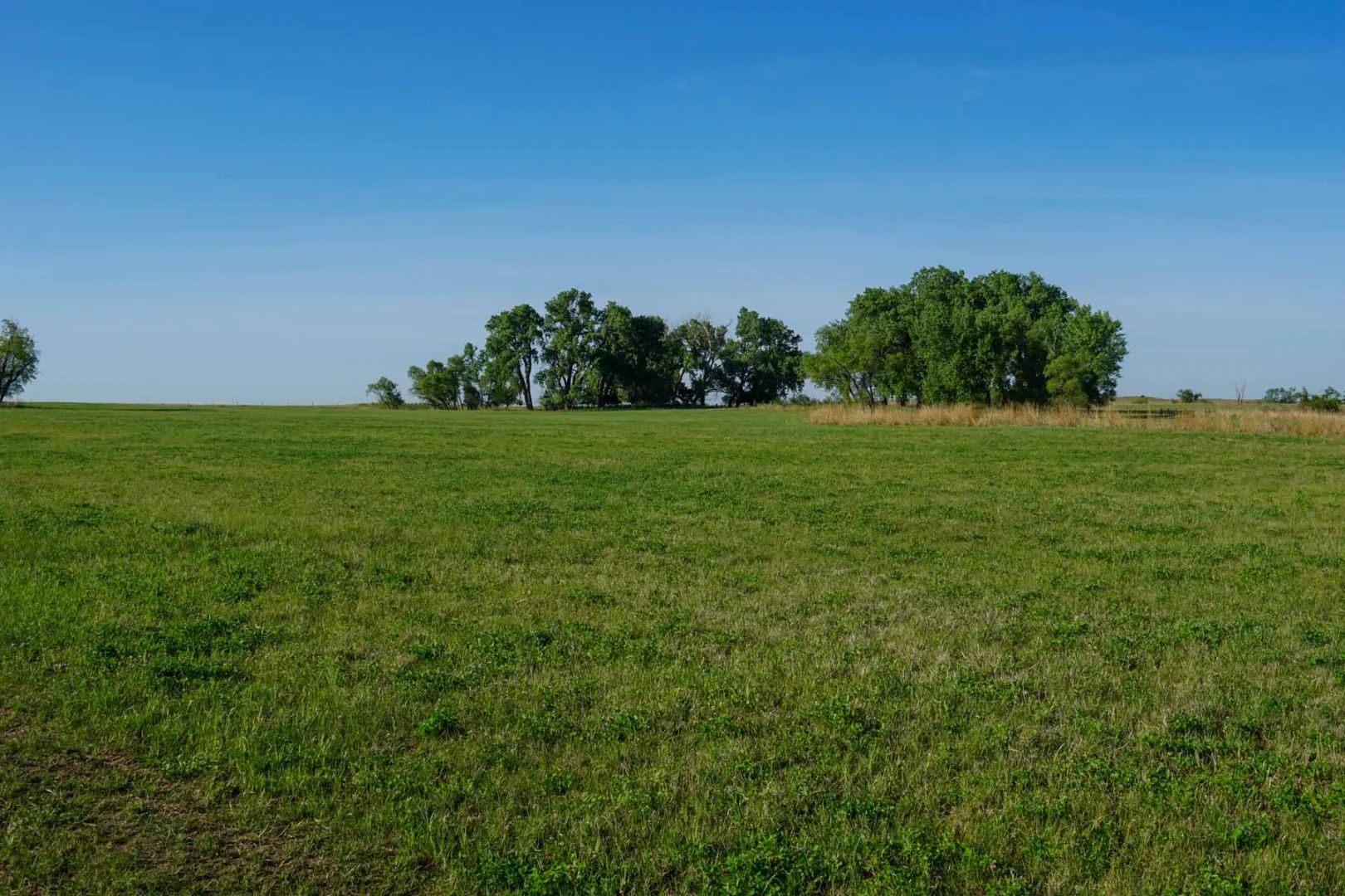 South Fork Ranch, view 3