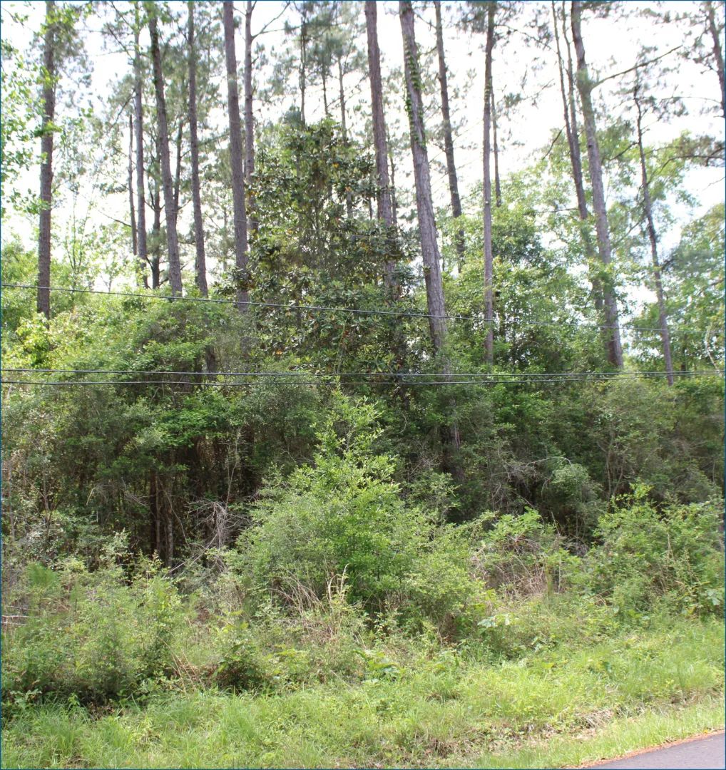 Pinewood Road, Bogalusa, Louisiana 0