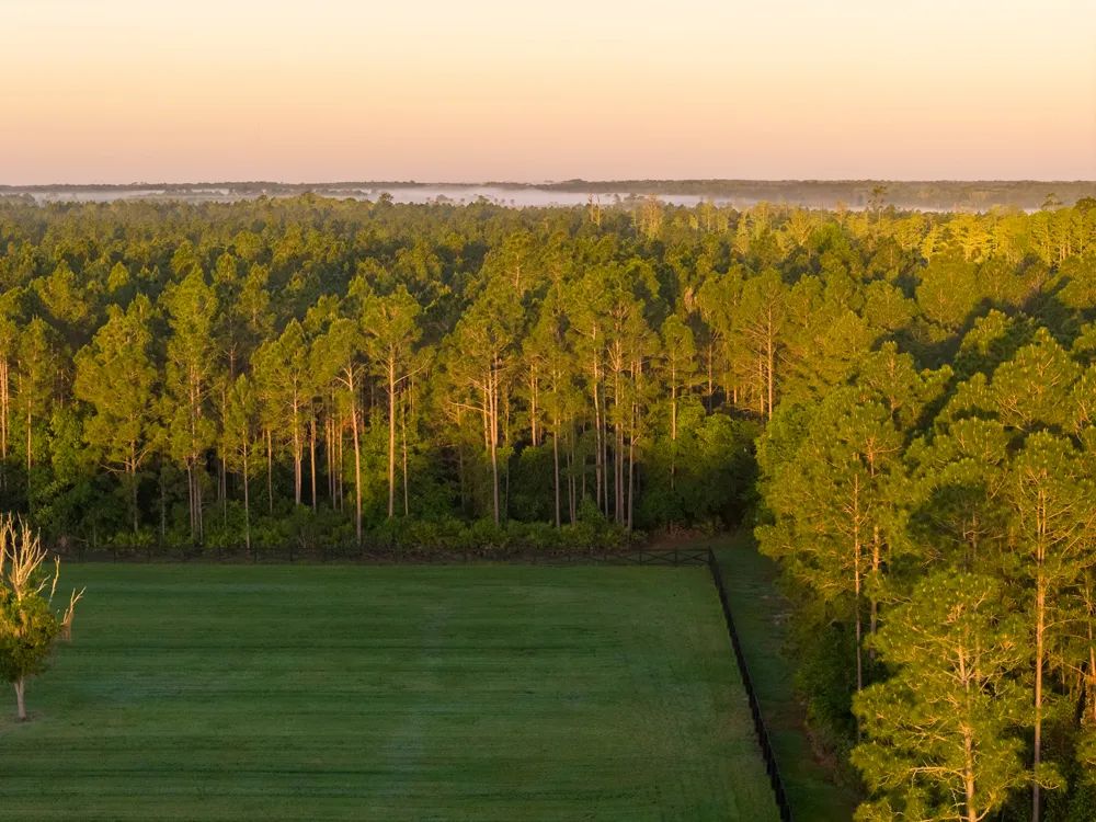 Phillips Ranch - Farm in Bunnell, Florida For Sale | Land Broker MLS
